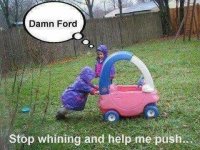 DamnFord.jpg